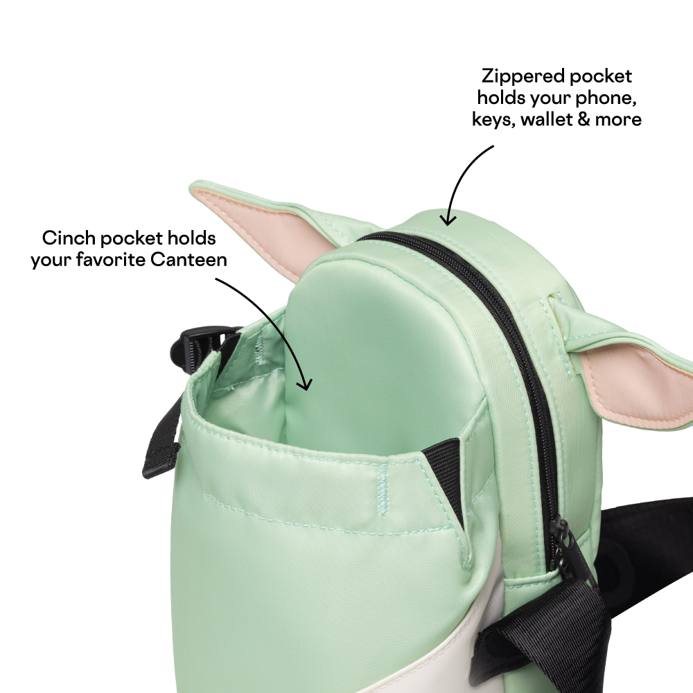 disney-sling-r6 53593b3e49e2--Sling-PDP-4.png