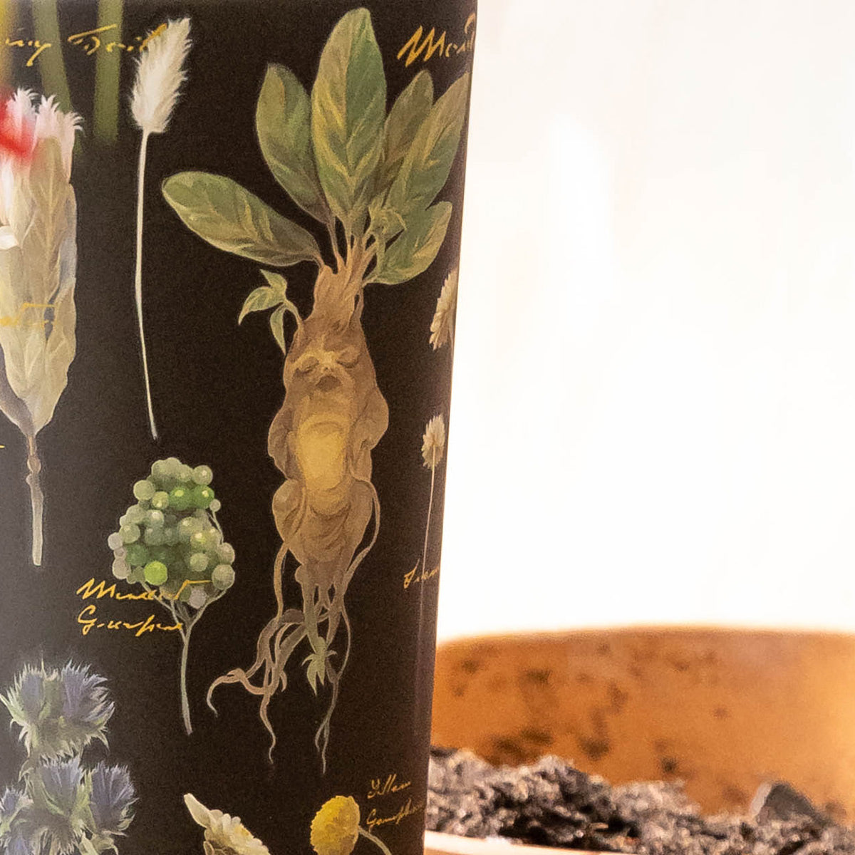 harry-potter-cold-cup-m6 Herbology-3.jpg